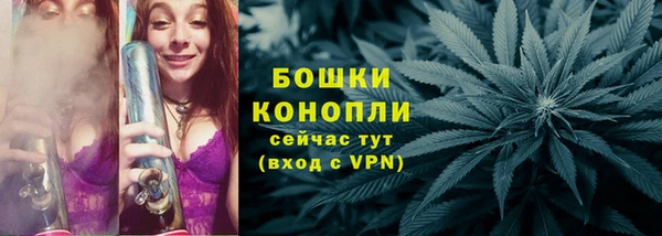 ГАЛЛЮЦИНОГЕННЫЕ ГРИБЫ Михайловка