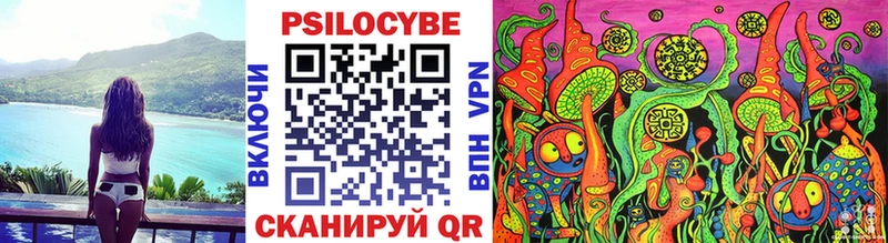 Псилоцибиновые грибы Psilocybine cubensis Первомайск